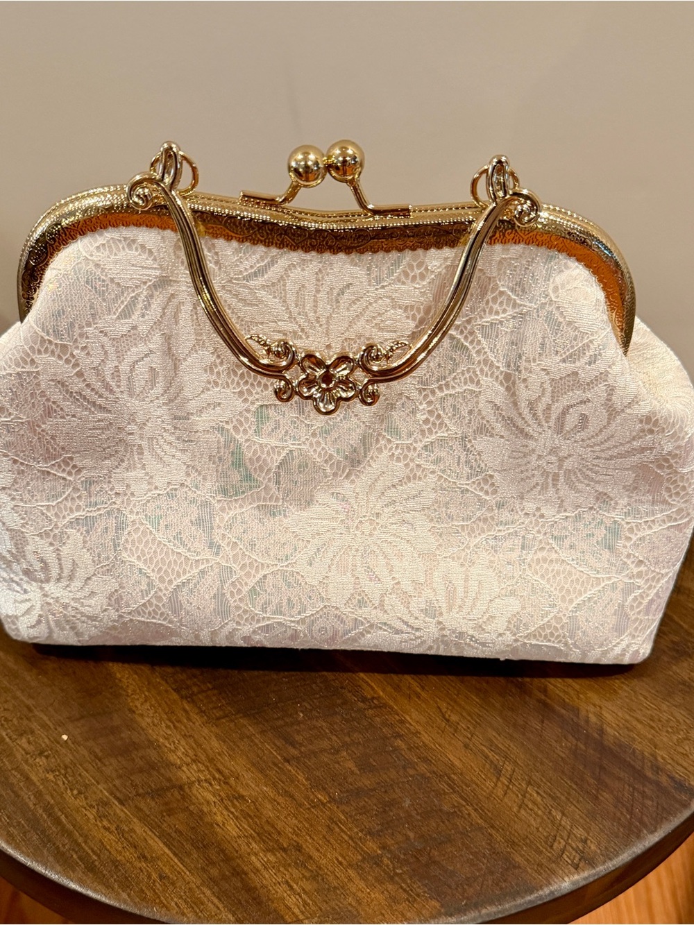 Elegant Ivory Lace Frame Clutch with Gold Hardware